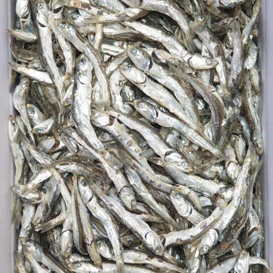 ❑ [12월 어획] 특.국물용-백주바멸치(特,저염) 1.5kg