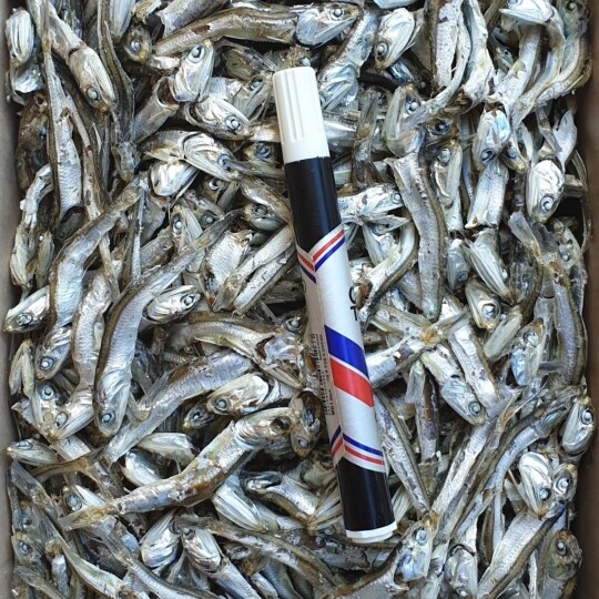 ❑ [12월 어획] 최고급 국물용-주바멸치(저염) 1.5kg